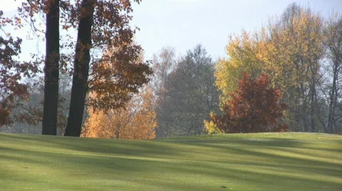 Golf play Stock Footage 593750