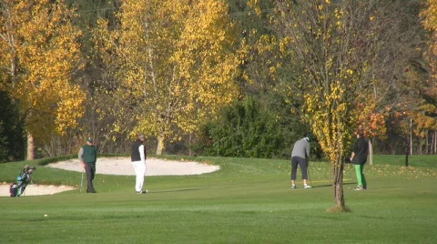 Golf play Stock Footage 593871
