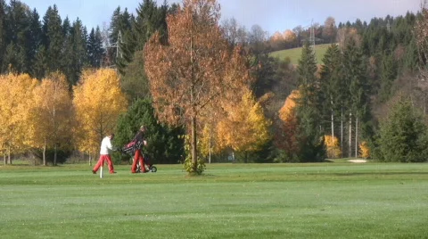 Golf play Stock Footage 594086