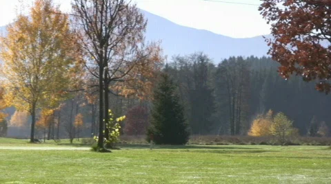Golf play Stock Footage 594387