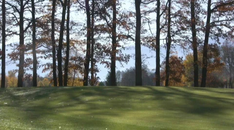Golf play Stock Footage 594652