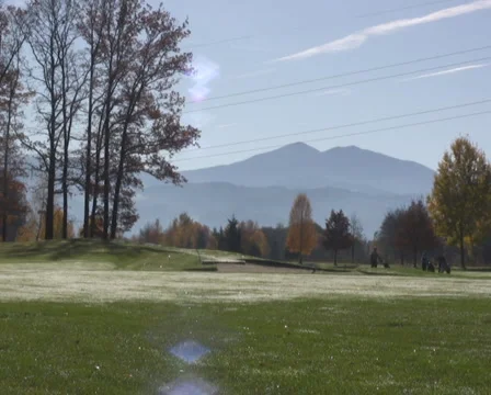 Golf play Stock Footage 1044562