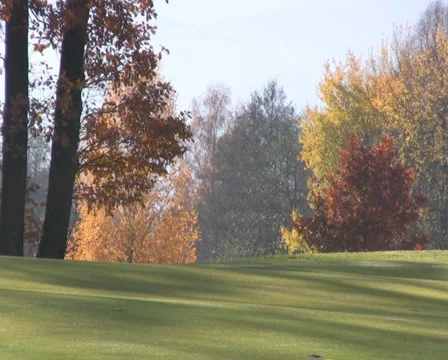 Golf play Stock Footage 1044600