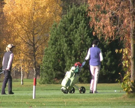 Golf play Stock Footage 1044750