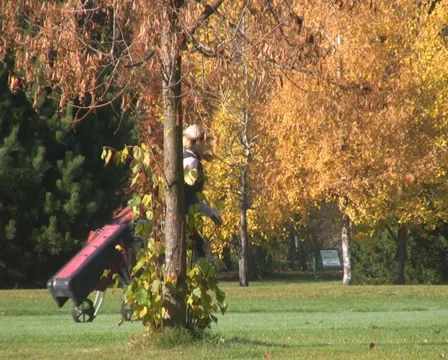 Golf play Stock Footage 1044766