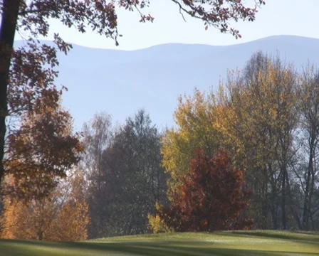 Golf play Stock Footage 1044797