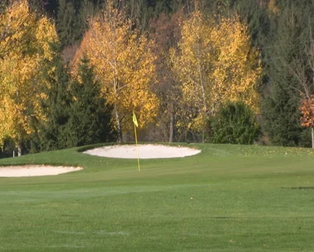 Golf play Video stock 1044964