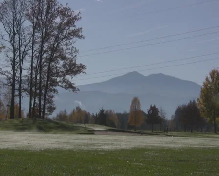 Golf play Video stock 1044981