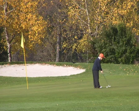Golf play Stock Footage 1045086