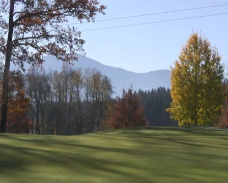 Golf play Video stock 1045093