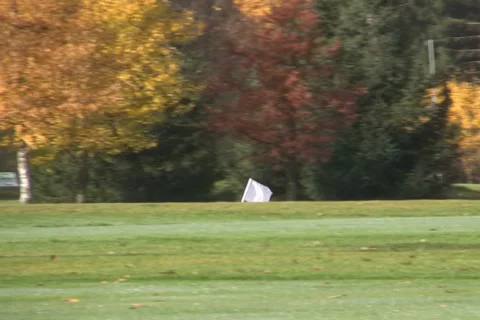 Golf play Video stock 1045143