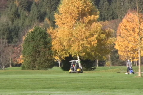 Golf play Stock Footage 1045277