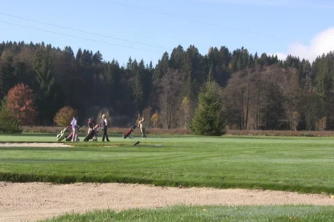 Golf play Stock Footage 1045314