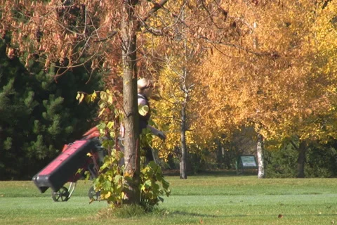 Golf play Stock Footage 1045483