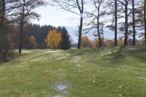 Golf play Stock Footage 1046032