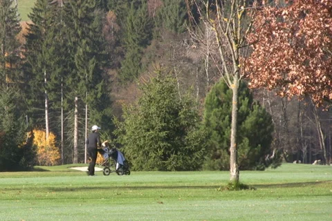 Golf play Stock Footage 1046098