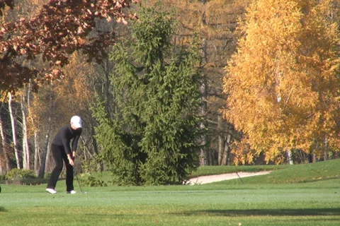 Golf play Stock Footage 1046133