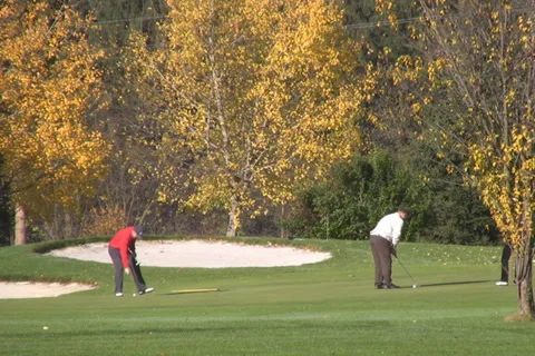Golf play Video stock 1046172
