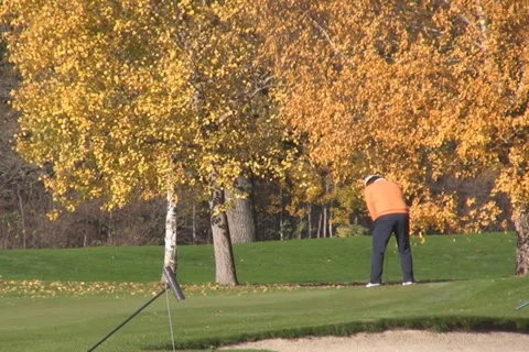 Golf play Stock Footage 1046384