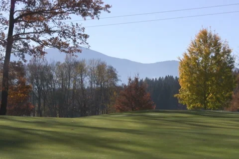 Golf play Stock Footage 1046431