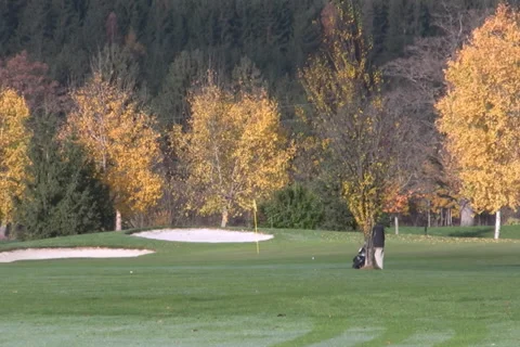 Golf play Stock Footage 1046588