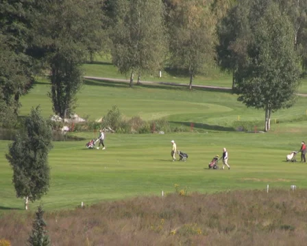 Golf play Stock Footage 1046774