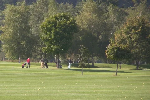 Golf play Stock Footage 1047152