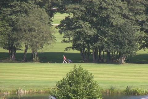 Golf play Stock Footage 1047206