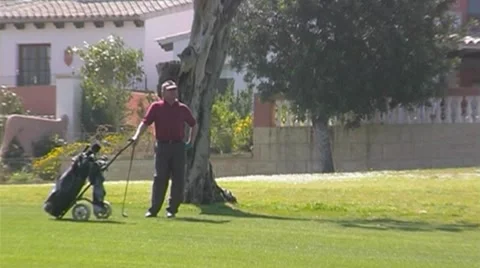 Golf play Stock Footage 8760494