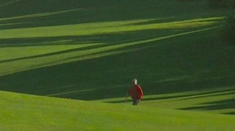 Golf play Stock Footage 8760642