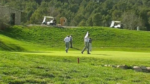 Golf play Stock Footage 8760724