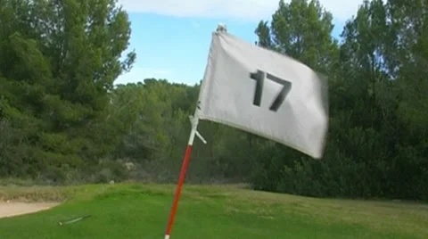 Golf play Stock Footage 8760842