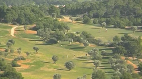 Golf play Stock Footage 8760855