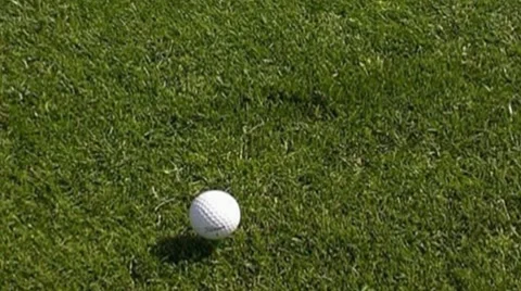 Golf play Stock Footage 8761039
