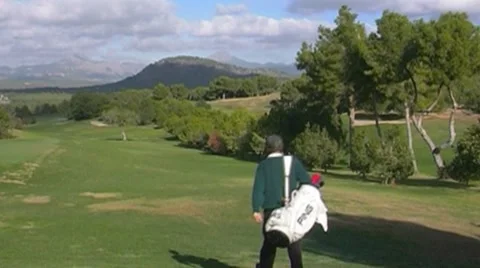 Golf play Stock Footage 8761544