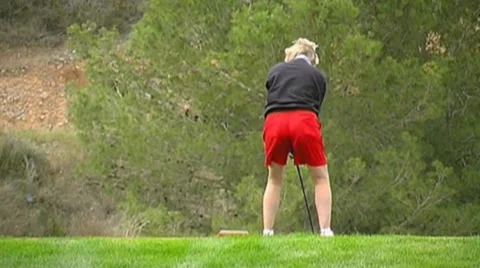 Golf play Stock Footage 8761881
