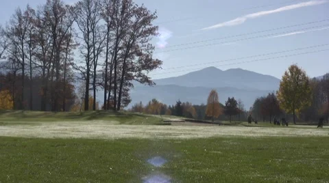 Golf play Stock Footage 8763144