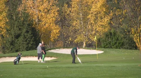 Golf play Stock Footage 8763534