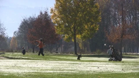 Golf play Stock Footage 8763885
