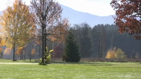 Golf play Stock Footage 8763935