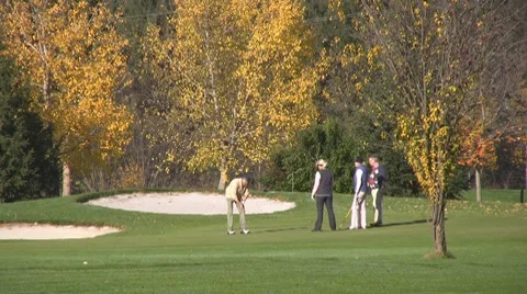 Golf play Stock Footage 8764699