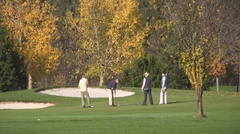 Golf play Stock Footage 8764721