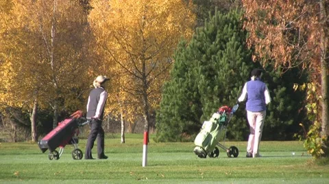 Golf play Stock Footage 8764743