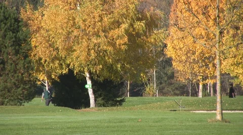 Golf play Video stock 8764758