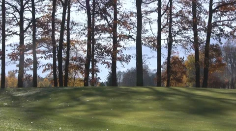 Golf play Stock Footage 8764839