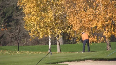 Golf play Stock Footage 8765004