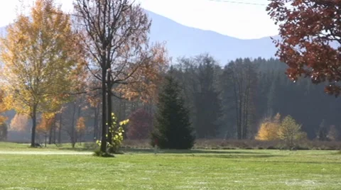Golf play Stock Footage 8765102