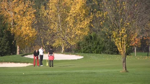 Golf play Stock Footage 8765255