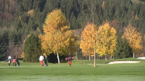 Golf play Stock Footage 8765357