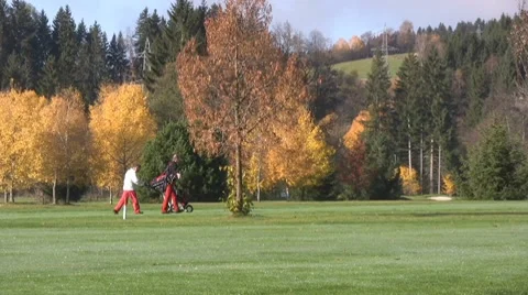 Golf play Stock Footage 8765901